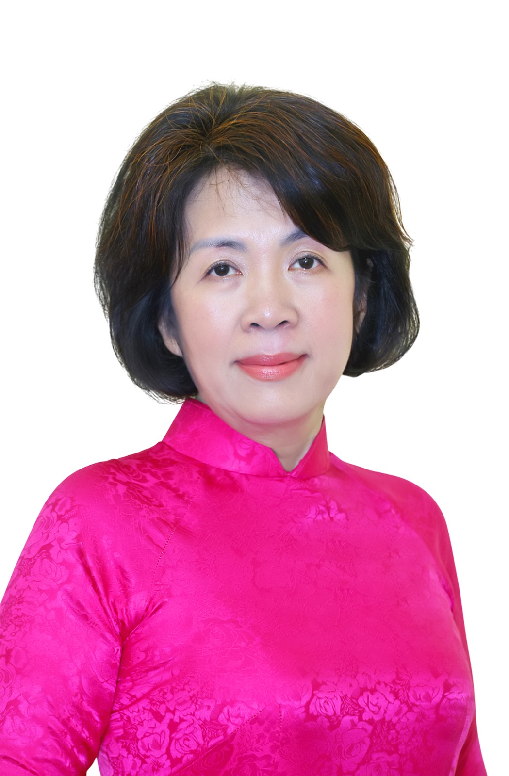 Member of the Standing Committee of the Party Committee of the Ministry, Deputy Minister Nguyen Thi Hoang Van